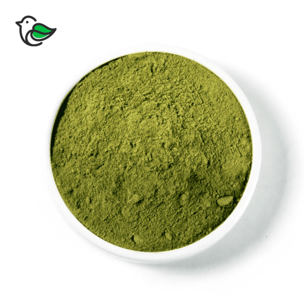 GREEN BALI