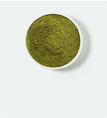 La varietà bianca di kratom nella ciotola